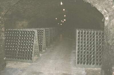 Riddling racks of bottles in a Moselle wine cellar — Moselle valley, Luxembourg (1-3 July 2000)