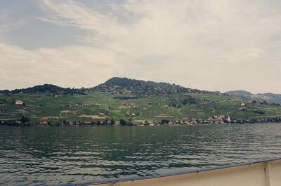 Terraced Lavaux vineyards above Lake Geneva — Geneva, Switzerland (1 July 2000)