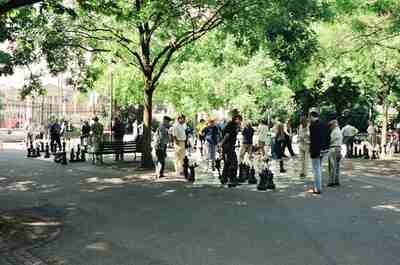 Giant chess games under shady trees in the park — Geneva, Switzerland (1 July 2000)