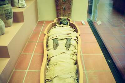 An unwrapped Egyptian mummy lying in its open case — Vatican Museums, Vatican City (21-27 May 2000)