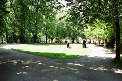 A shaded lawn clearing among tall trees in the park — Salzburg, Austria (16-18 June 2000)