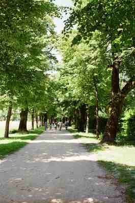 A tree-lined gravel path winding through dappled woodland — Salzburg, Austria (16-18 June 2000)