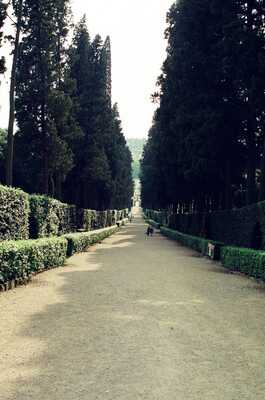 A gravel garden avenue lined with hedges and cypresses — Florence, Italy (26-27 May 2000)