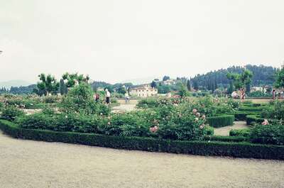 The rose garden with hedges and hills beyond — Florence, Italy (26-27 May 2000)