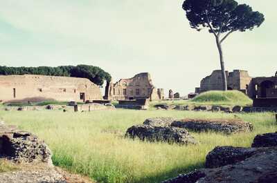 Sunlit ruins and a tall pine on the Palatine Hill — Rome, Italy (21-27 May 2000)