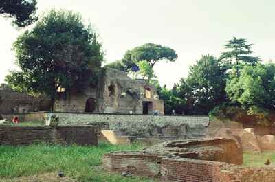 Overgrown brick ruins below leafy trees on the Palatine — Rome, Italy (21-27 May 2000)