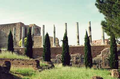 Standing columns of the Temple of Venus and Roma — Rome, Italy (21-27 May 2000)