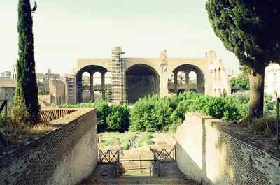 The Basilica of Maxentius framed by cypress trees — Rome, Italy (21-27 May 2000)