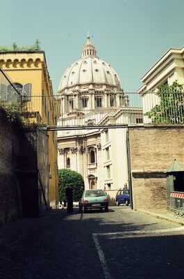 The dome of St Peter's Basilica behind a leafy pine — St Peter's Basilica, Vatican City (21-27 May 2000)