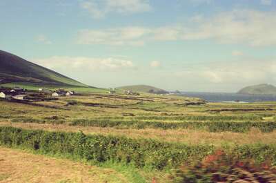 Coastal farmland with the Blasket Islands offshore — Dingle Peninsula, Ireland (4-9 July 2000)