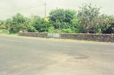 A stone wall and R559 signpost along an empty road — Dingle Peninsula, Ireland (4-9 July 2000)