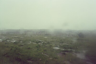 Misty grassy limestone pavement of the Burren — The Burren, Ireland (4-9 July 2000)