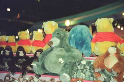 Bagheera bear and gorilla plush toys on shop shelves — Disneyland Paris, France (29 June - 6 July 2000)