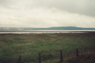 A misty firth and low hills beyond reedy shore grass — Scottish Highlands, Scotland (late July 2000)