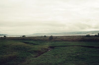 Green saltmarsh creeks beside a calm firth — Scottish Highlands, Scotland (late July 2000)