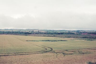 Tractor tracks curving across pale arable fields — Dingwall, Scotland (late July 2000)