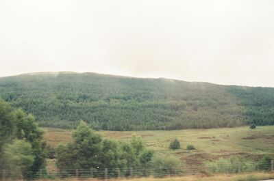 Forested hills above rough moorland and a fence line — Scottish Highlands, Scotland (late July 2000)