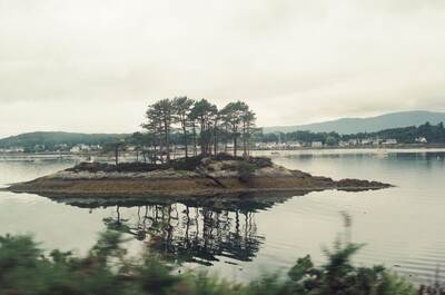 A tiny pine-topped island on a calm sea loch — Kyle of Lochalsh, Scotland (late July 2000)