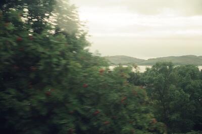 Berry-laden trees blurring past a loch from the train — Scottish Highlands, Scotland (late July 2000)
