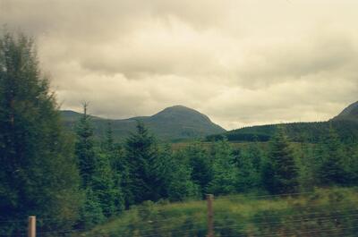 A pointed peak beyond young conifers and moorland — Scottish Highlands, Scotland (August 2000)