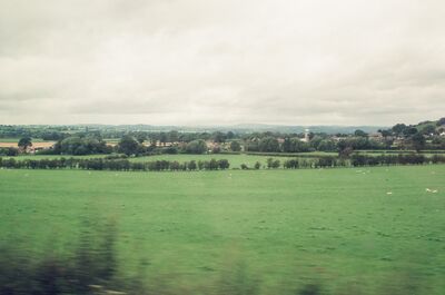 Green Shropshire fields under a grey overcast sky — Shropshire countryside, England (August 2000)