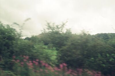 A misty Welsh hillside with pink wildflowers from a train — rural Wales, Wales (August 2000)