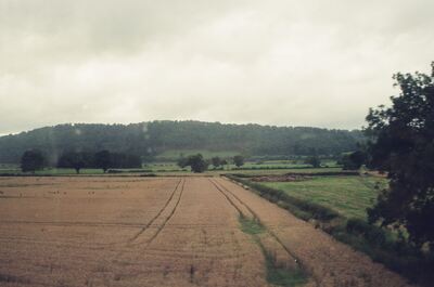 Harvested wheat fields below a wooded ridge — Shropshire/Welsh border countryside, Wales (August 2000)