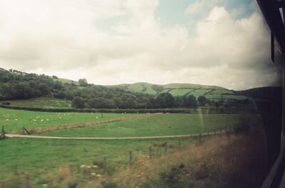Sheep grazing in a valley of mid-Wales hills — mid-Wales countryside, Wales (August 2000)