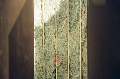 A tall museum display of pale fibrous strands — London, England (August 2000)