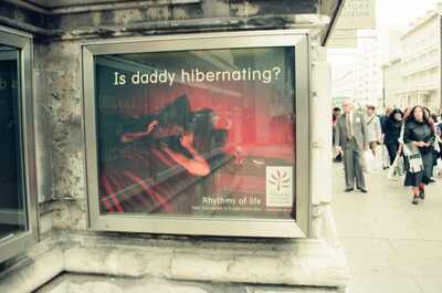 Natural History Museum poster on a street corner — London, England (August 2000)