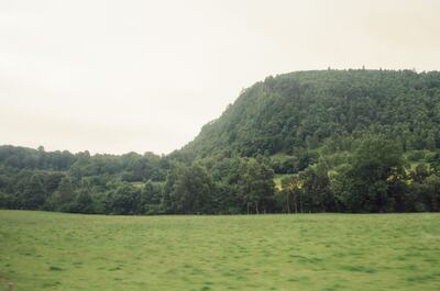 A wooded Highland hill above green pasture — Scottish Highlands, Scotland (late July - early August 2000)