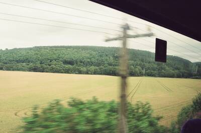 A telegraph pole and wheat field from a moving train — Aberdeen, Scotland (late July - early August 2000)