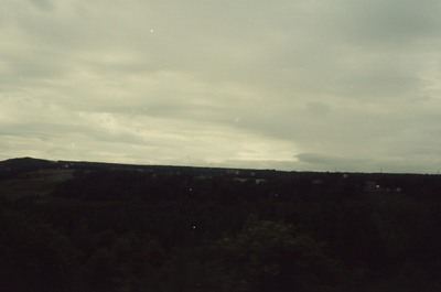 Dusk falling over dark Aberdeenshire woodland — Aberdeen, Scotland (late July - early August 2000)