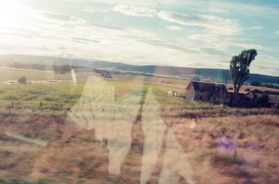 Sunlit farmland with a white horse, glimpsed from the train — Aberdeen, Scotland (late July - early August 2000)