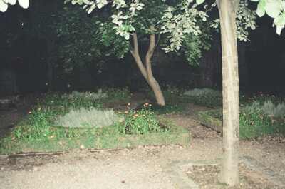 Flowerbeds and trees in a quiet walled garden at night — Edinburgh, Scotland (August 2000)