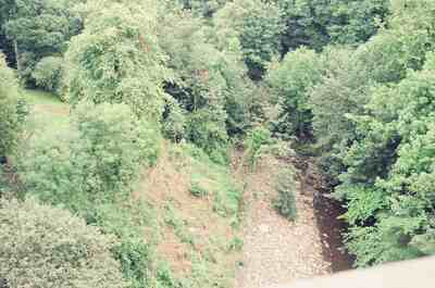 A wooded river gorge seen from above — Edinburgh, Scotland (August 2000)