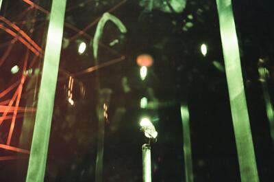 A glowing jewel display behind green glass panels — London, England (August 2000)
