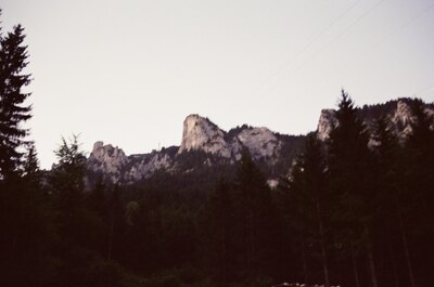 Rocky crags above a dark pine forest at dusk — Fussen, Germany (19-21 June 2000)