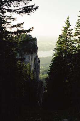 A rocky outcrop and pines backlit by hazy sun — Fussen, Germany (19-21 June 2000)