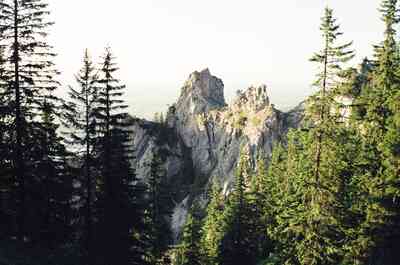 A jagged rocky peak framed by tall fir trees — Fussen, Germany (19-21 June 2000)