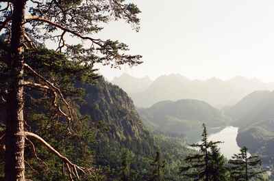 Alpine peaks and a lake framed by hillside pines — Fussen, Germany (19-21 June 2000)