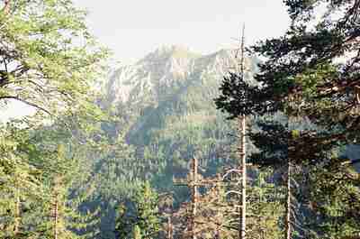 A mountain ridge rising above dense pine forest — Fussen, Germany (19-21 June 2000)