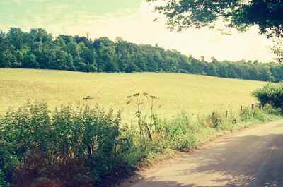A quiet country lane beside a sunlit field — England, England (August 2000)