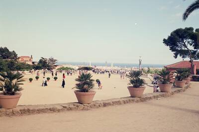 Palm-potted terrace overlooking the city from Park Guell — Barcelona, Spain (13-20 July 2000)