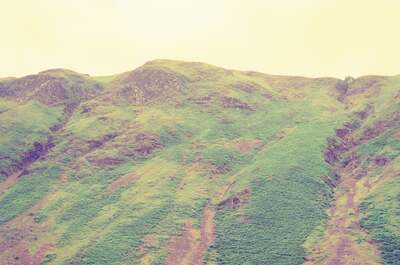 A bracken-covered Highland hillside under a pale sky — Scottish Highlands, Scotland (late July 2000)