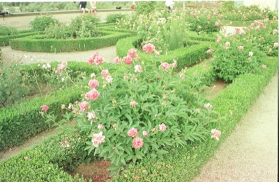The Giardino del Cavaliere parterre in the Boboli Gardens — Florence, Italy (late May 2000)